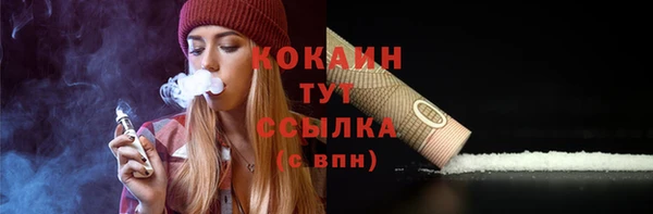 прущие крисы Вяземский