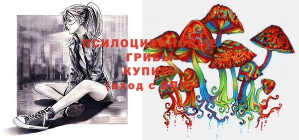 молекула духа Волоколамск