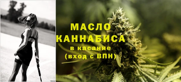 молекула духа Волоколамск