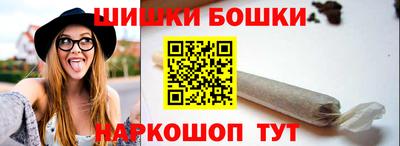 индика Пенза