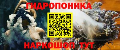 индика Пенза