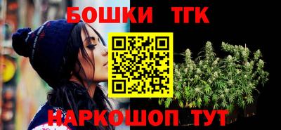 индика Пенза