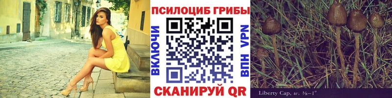 Псилоцибиновые грибы ЛСД  Серпухов 